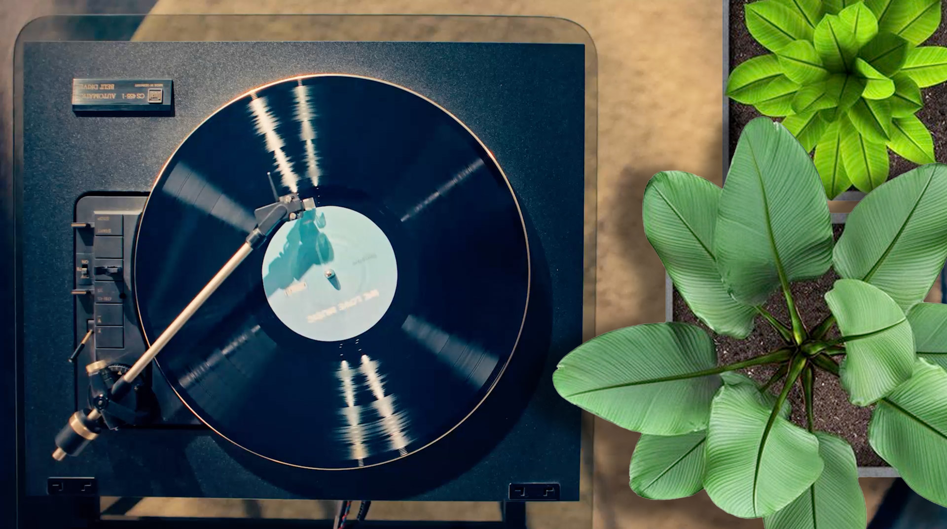 EcoRecord sostenibilidad industria musical